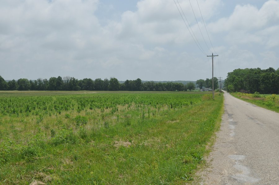 For sale: Excellent Tillable and Recreational Land - Catlin, Indiana
